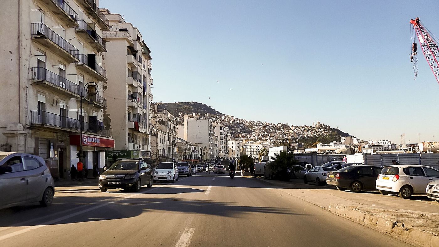 Illustration — Algérie : l'État casse le prix du poulet congelé à 320 dinars, les clients exigent désormais son acte de naissance (Économie)